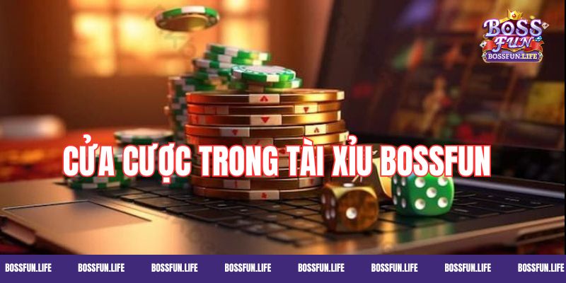 Nhiều cửa cược cho người dùng lựa chọn