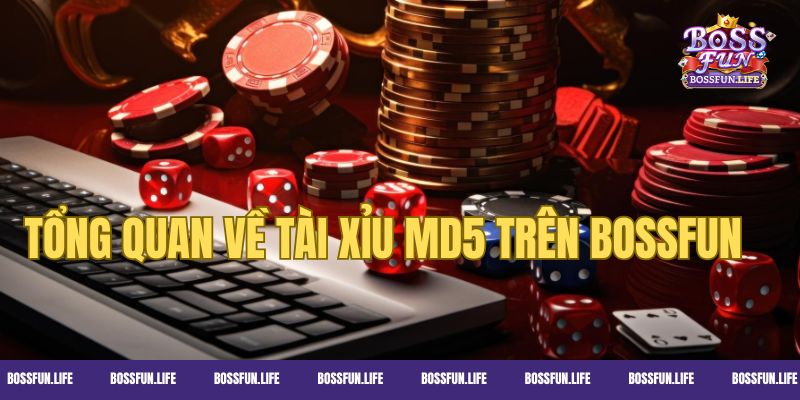 Tổng quan về game tài xỉu MD5 trên Bossfun